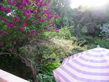 Cadboro Bay Bed & Breakfast Victoria Bagian luar foto